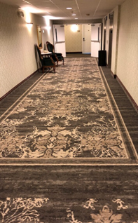 carpeted commercial hallway